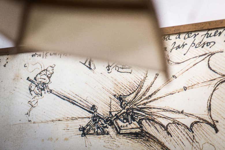 Drawings by Leonardo da Vinci