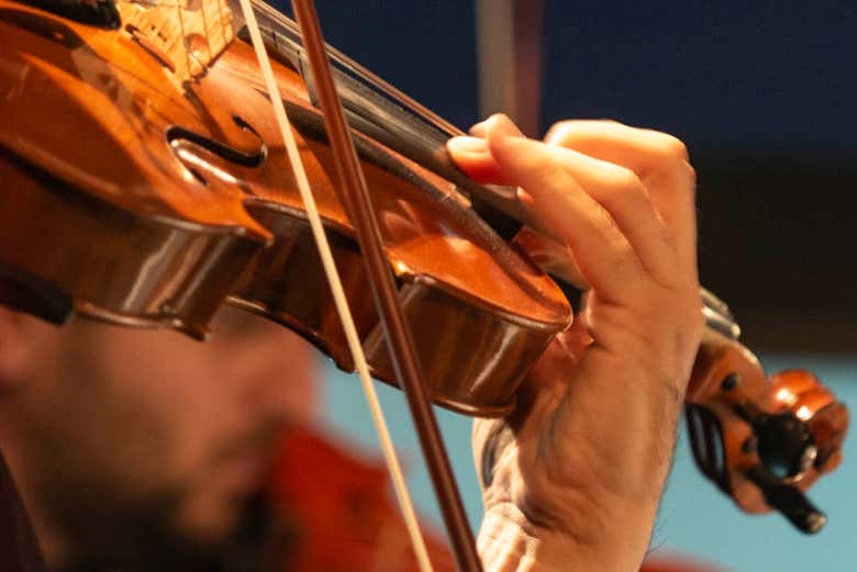 The musicians at Palazzo Santa Chiara